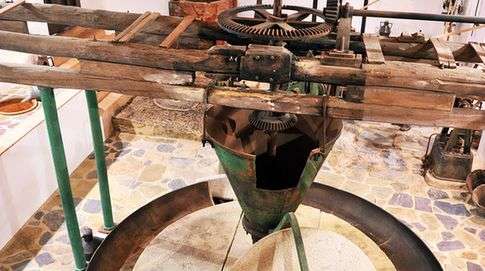 L’ Huile d’Olive dans l’histoire de l’humanité